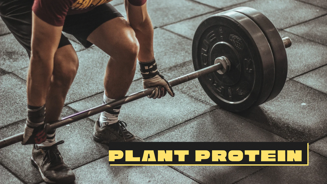 The Power Of Plant Protein Powder: A Nutrient-Rich Choice for a Healthier You