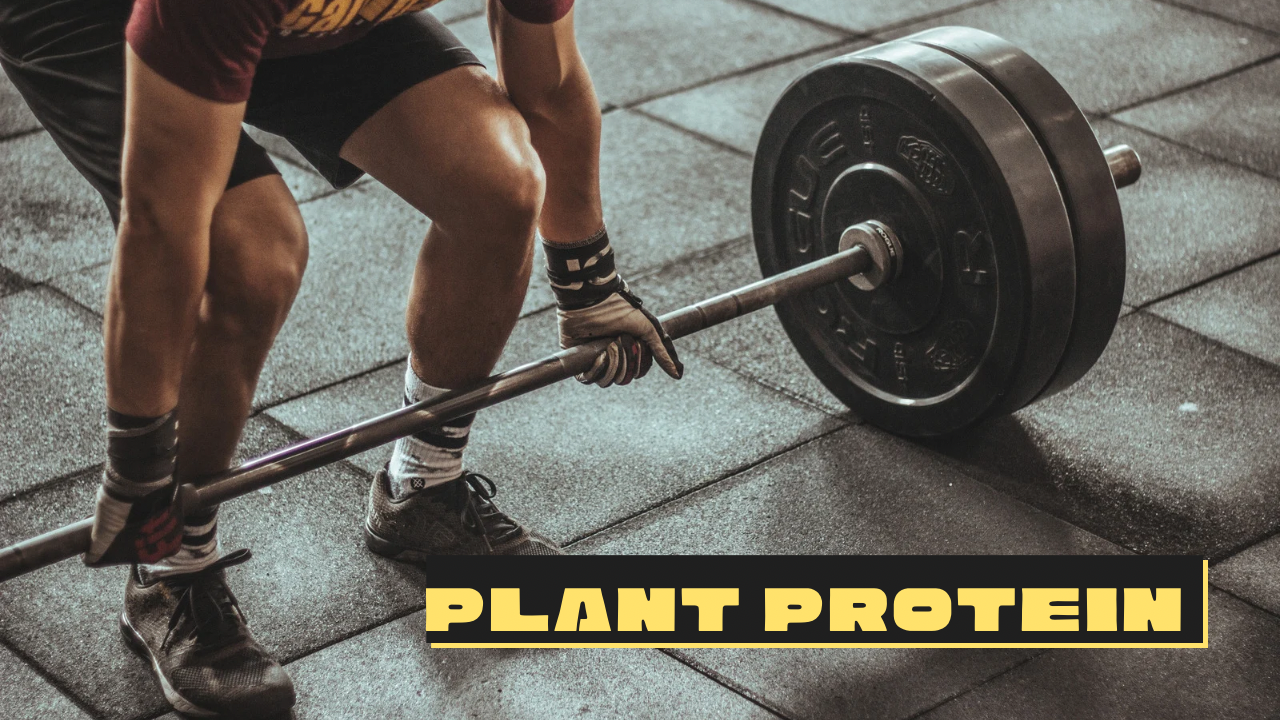 The Power Of Plant Protein Powder: A Nutrient-Rich Choice for a Healthier You